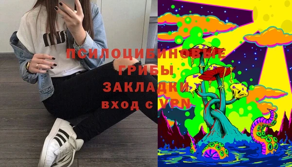 стафф Алексеевка