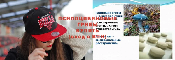 стафф Алексеевка