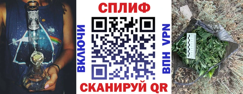 Бошки марихуана конопля  где купить наркоту  Новопавловск 
